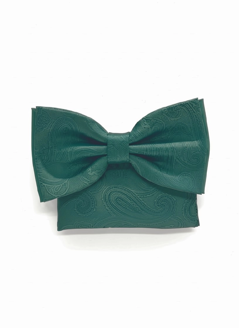 Pánsky motýlik BLUE VERDE PAISLEY s vreckovkou