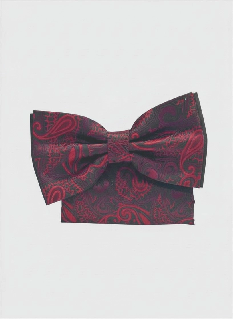 Pánsky motýlik RUBY NOIR ORNAMENT s vreckovkou